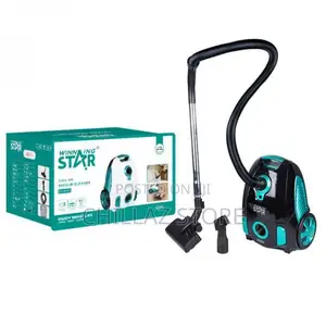ST-5032 WINNING 4L 22kpa Canister Vacuum
