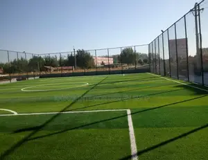 Playing Ground Artificial Turf Grass Carpet/Grass Carpet