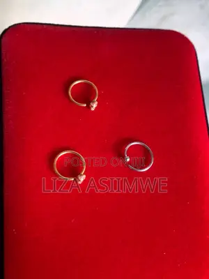 Nose Rings Available