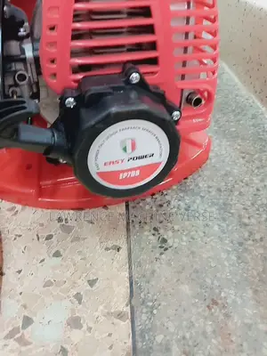 Knapsack Sprayer 2 Stroke Italy
