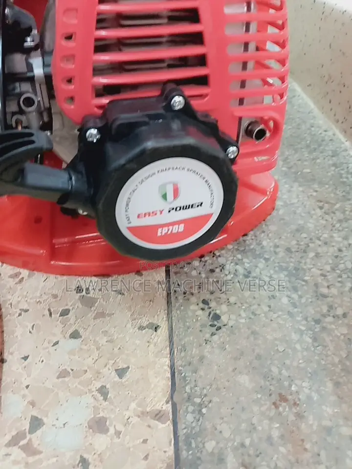 Knapsack Sprayer 2 Stroke Italy