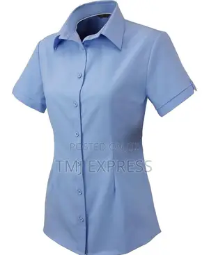 Corporate Wear Blouses