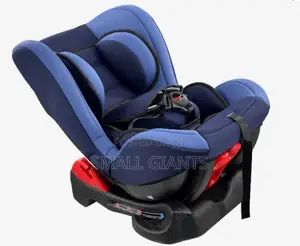 Baby Stylish Car Seat