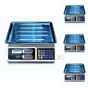 Digital Computer Scale