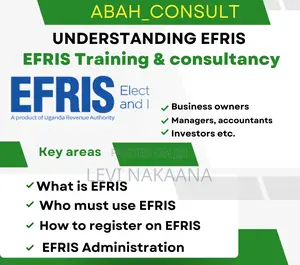 Efris and Vat Consultancy