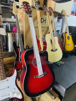 Brand New Acoustic Guitars 595
