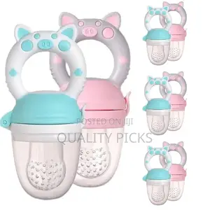 Baby Fruit Feeder