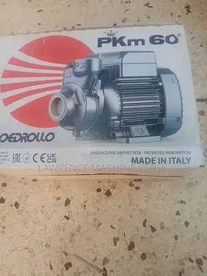 Surface Water Pump Pedrollo