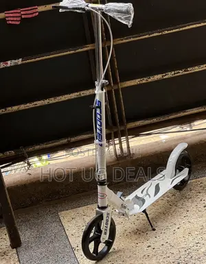Portable Scooter - Silver