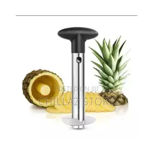 Pineapple Peeler and Slicer – Silver