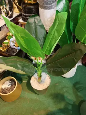 Plants and Flowers