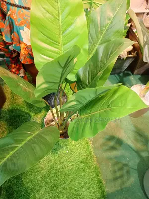 Artificial Plant and Flowers