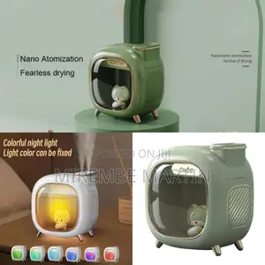 Bedroom Double Nozzle Air Humidifier.