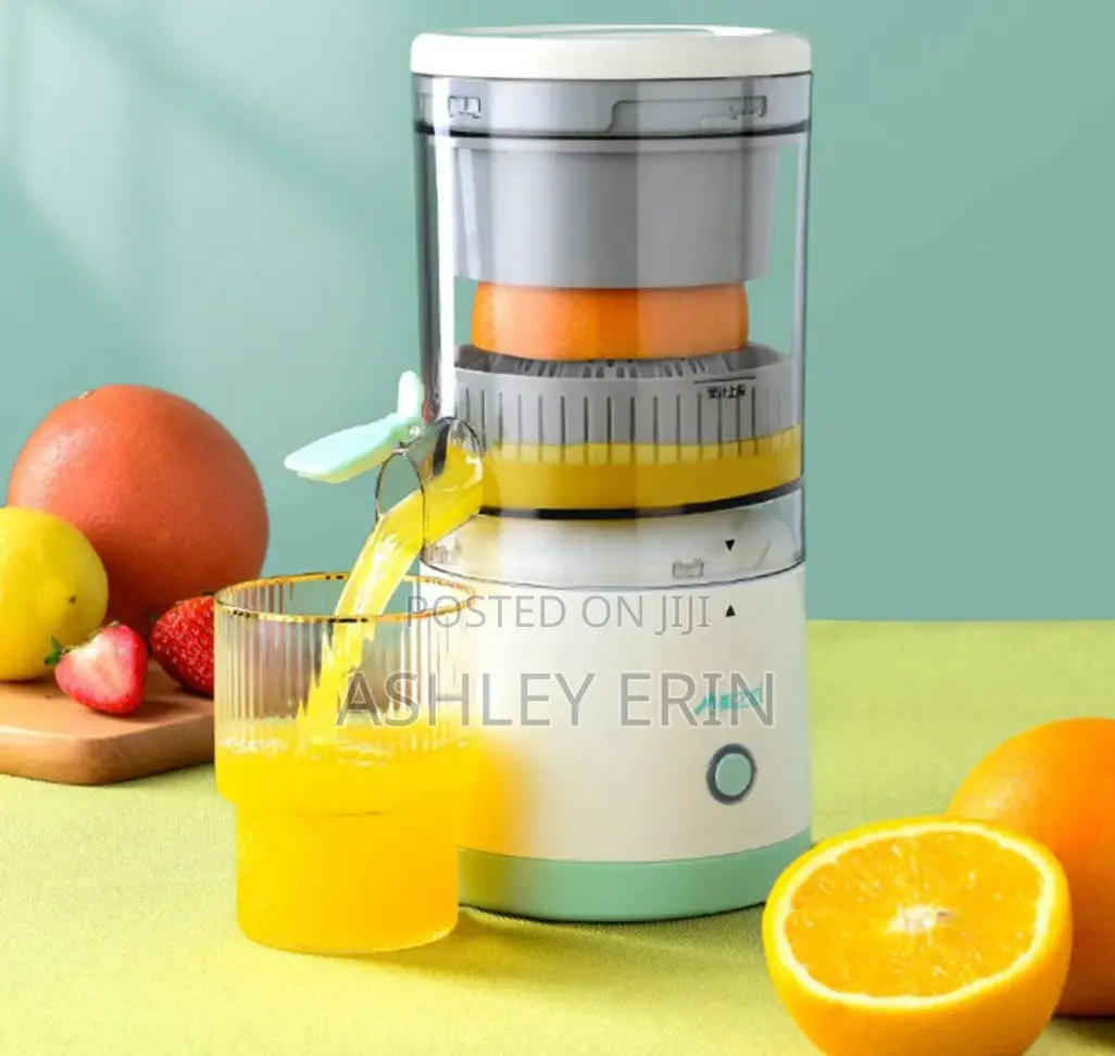 Mini Electric Juice Mixer
