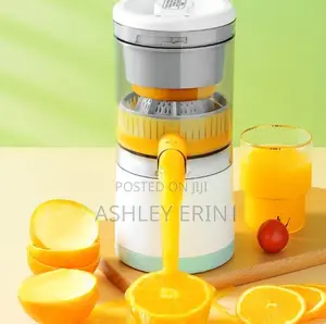 Mini Electric Juice Mixer