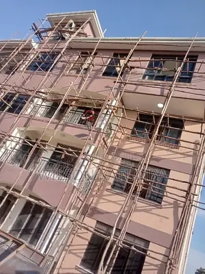 Apartment Flat Painting