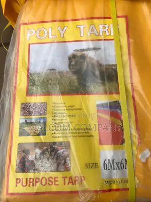 Poly Tarp 6mby6m 2pcs Original Tarpaulin