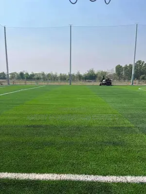 Grass Carpets (Artificial Turf)