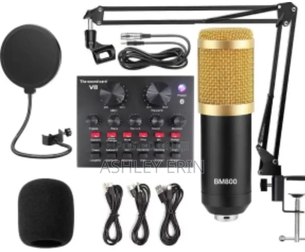 Professional BM 800 Studio Microphone
