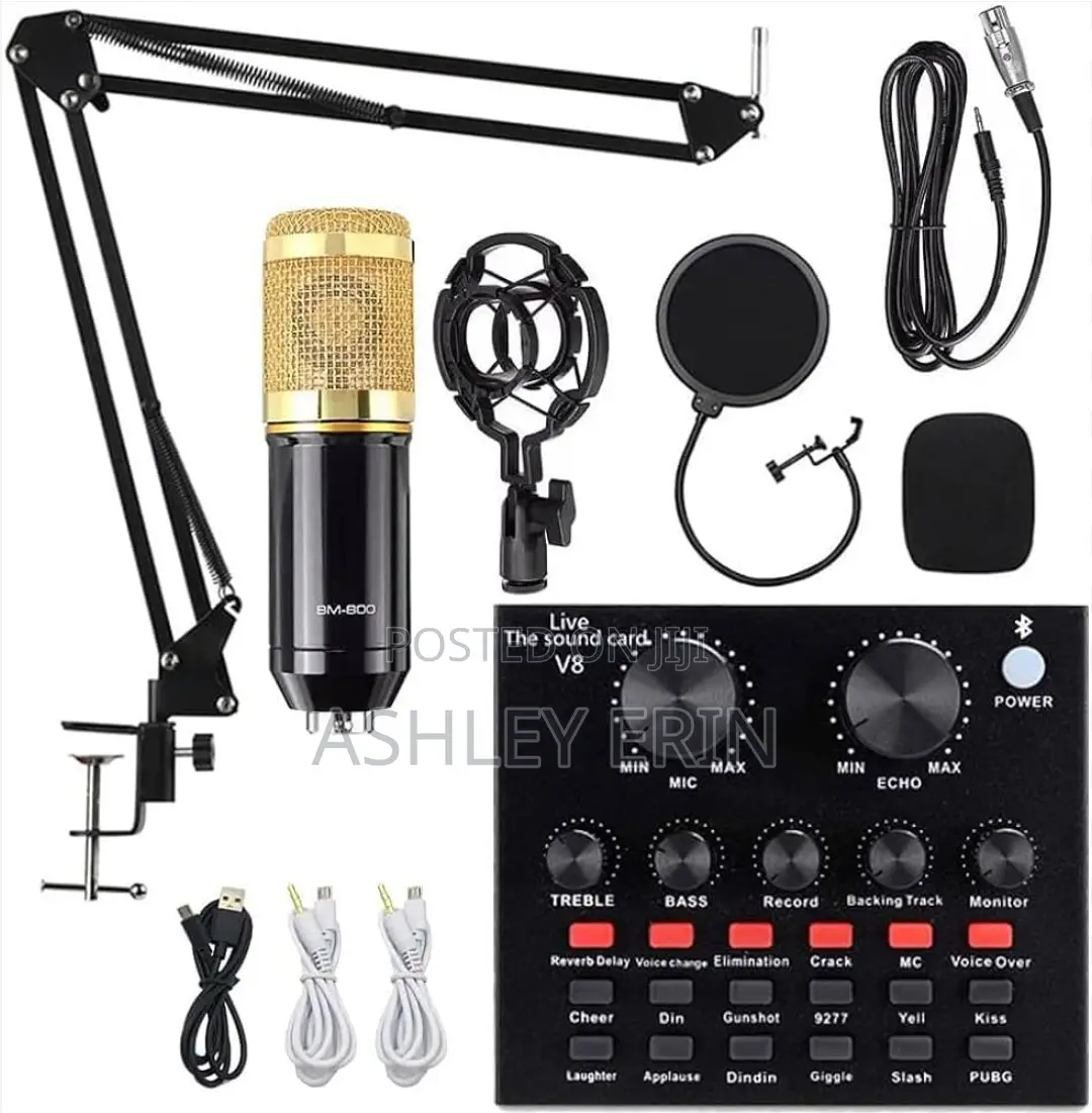Professional BM 800 Studio Microphone