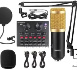 Professional Studio Music Recording Microphone Condenser