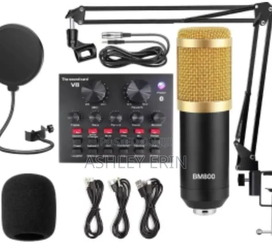 Professional Studio Music Recording Microphone Condenser