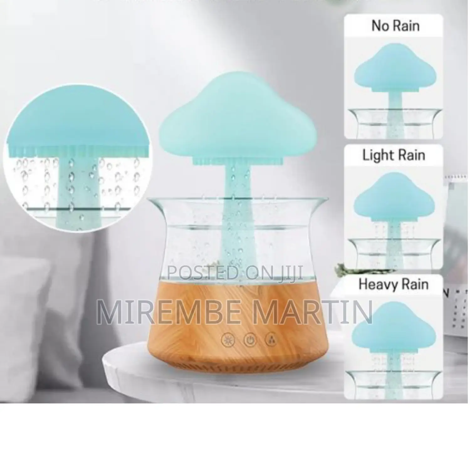 4in1 Rain Drop Humidifier.