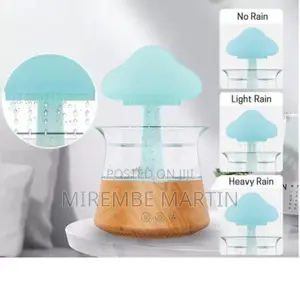4in1 Rain Drop Humidifier.
