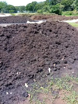 High Quality Organic Black Soil/Fertilizer/Manure
