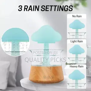 Rain Drops Humidifier