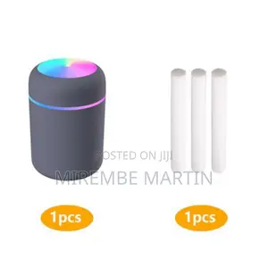 Home H20 Humidifier.