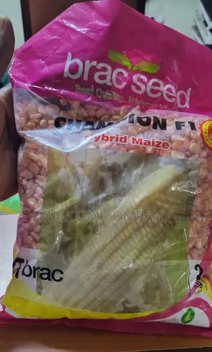 Hybrid Maize Seeds 2kg