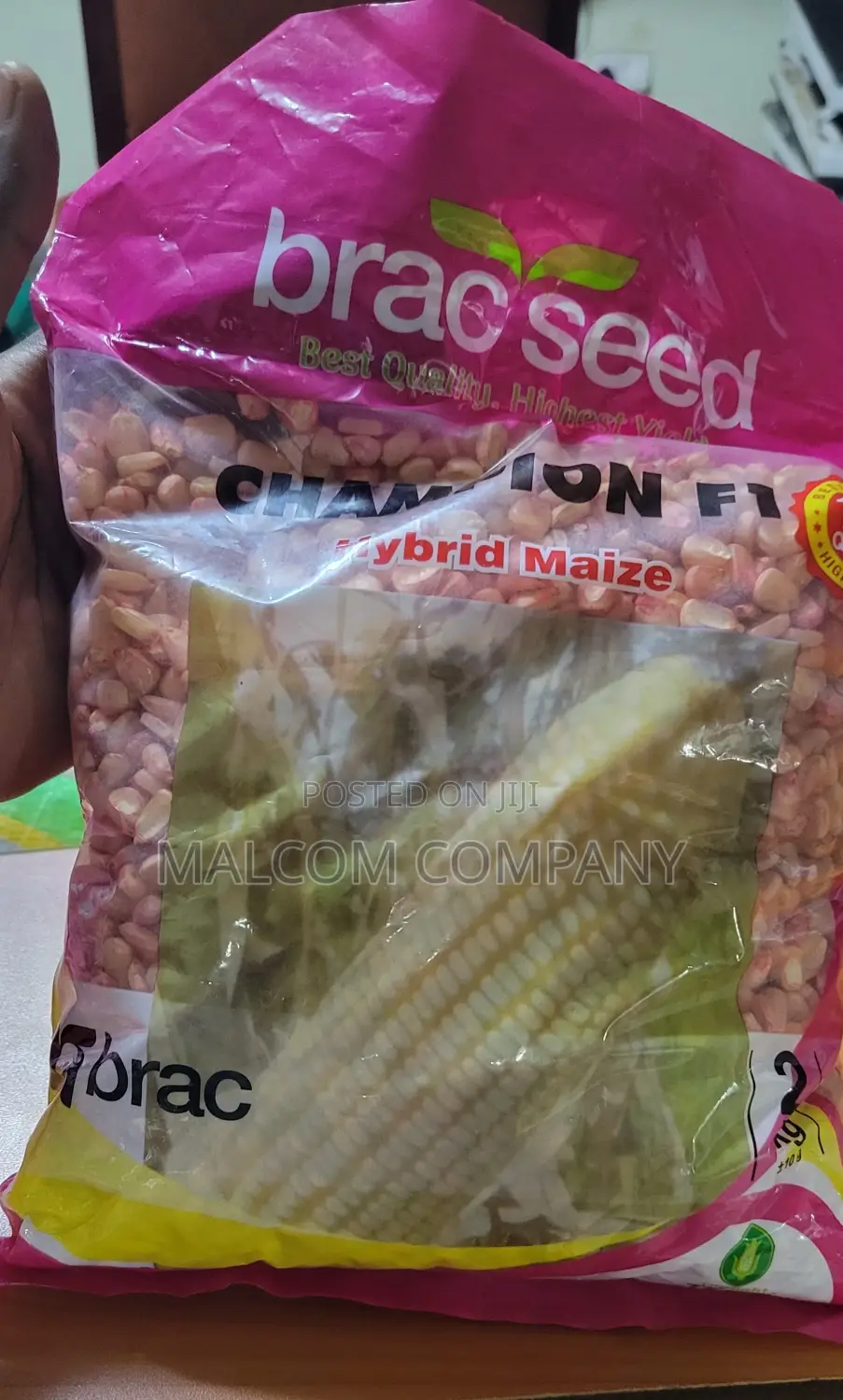 Hybrid Maize Seeds 2kg