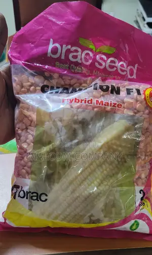 Hybrid Maize Seeds 2kg