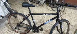 Bike for Adults