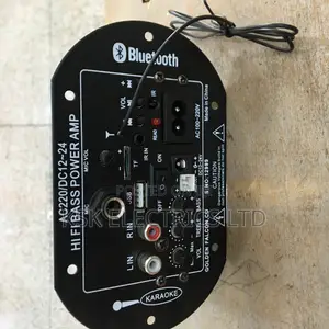 Ac220/Dc12~24 Hi Fi Bass Power Amp