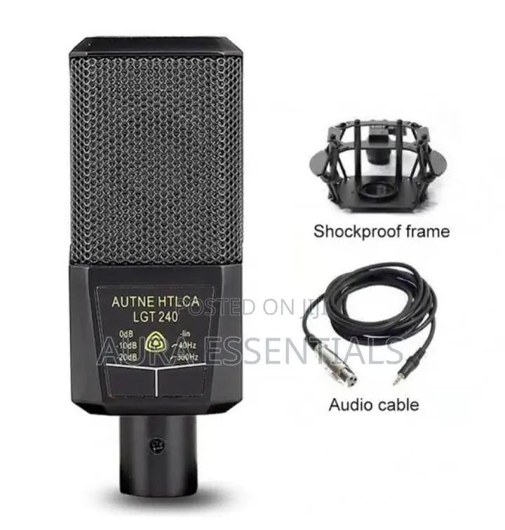 Condenser Microphone Pro Audio Microphone