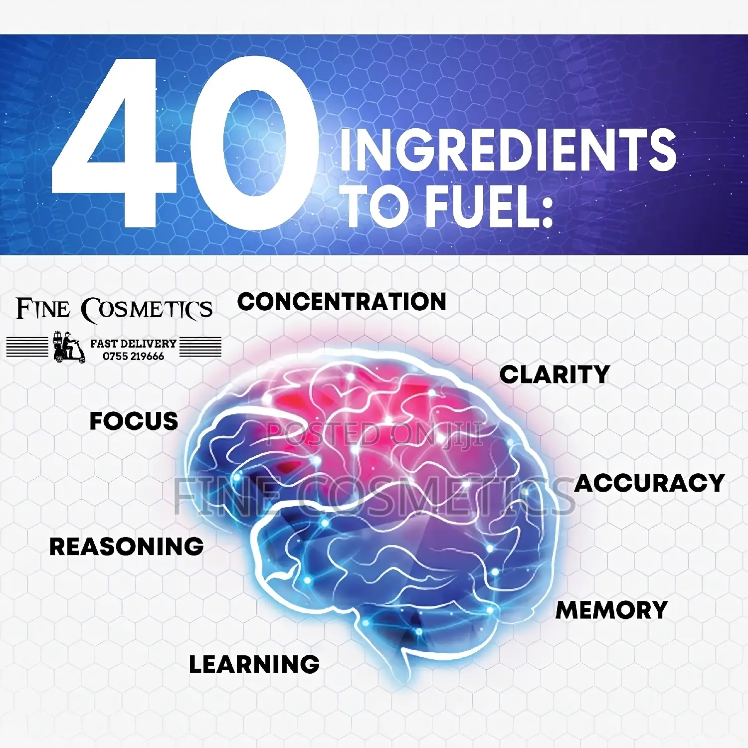 ALPHA BRAIN BOOSTER Memory Loss + Mental Focus Support Pills