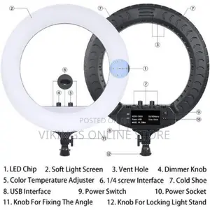 21 - 22 Inch Ring Light With Stand, for Tik Tok, Youtube,