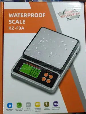 Portable Weigh Scale Waterproof Tabletop Weighing Scale (100)