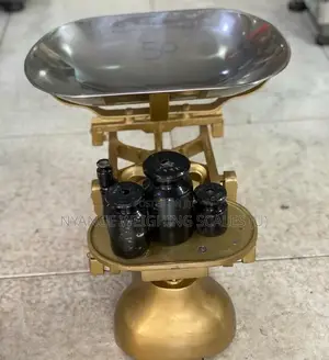 Shop Weighing Scales Mechanical Counter Weighing Scale (31)