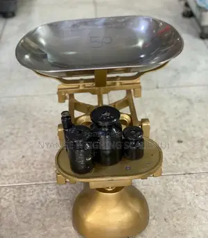 Counter Shop Weighing Scale (21)