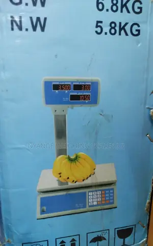 Digital Price Weigh Scale Computing 40kg Weigh Digital Weighing Scale