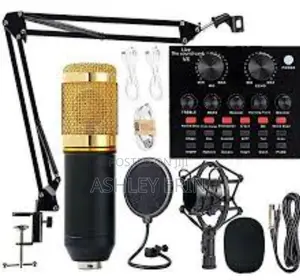 Professional BM 800 Studio Microphone
