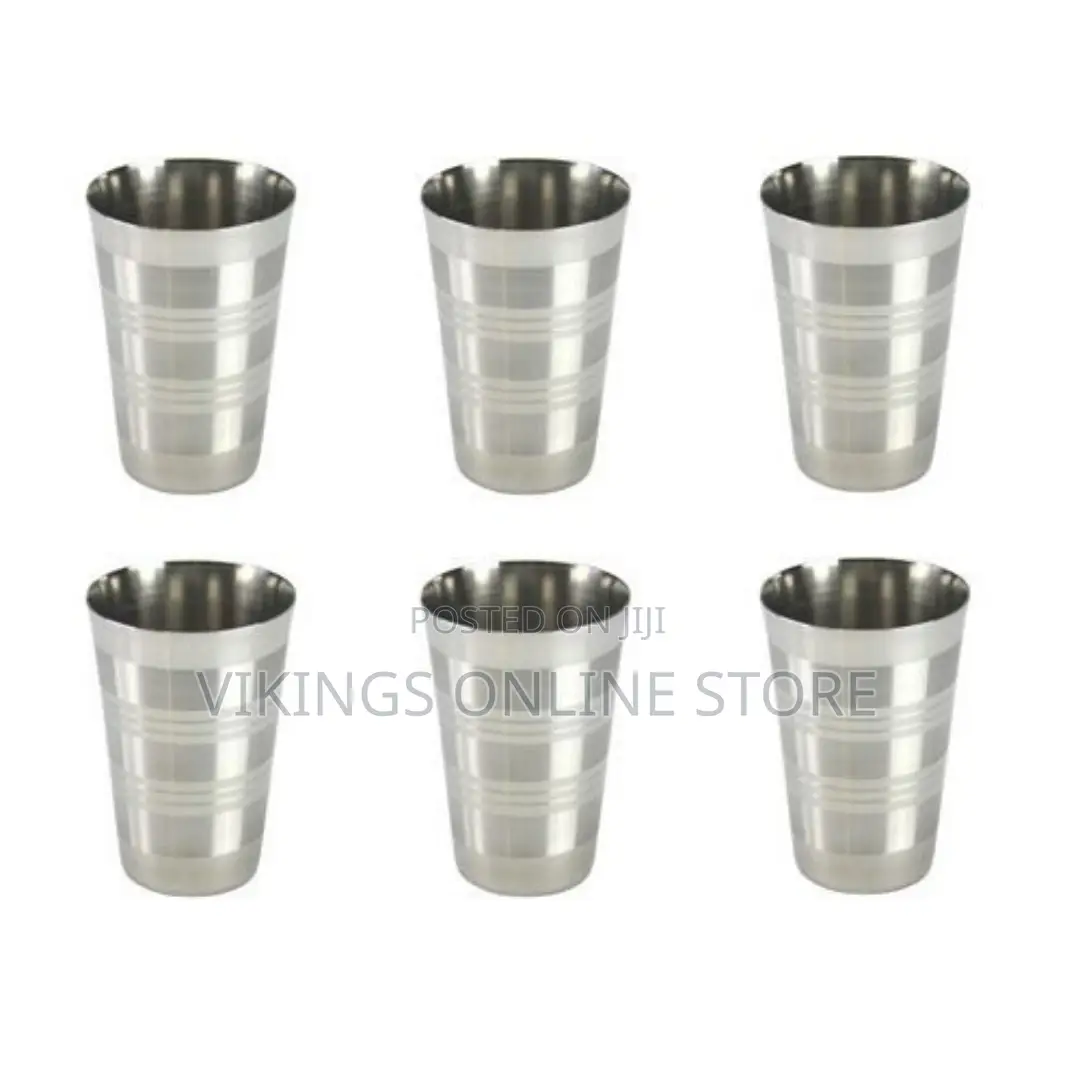 6 Stainless Steel Drinking Tumblers