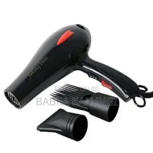 Fakang Hand Hair Dryer _ Black