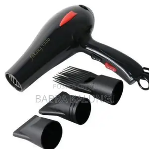 Fakang FK _3900 Professional Hand Dryer _ Black