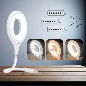 USB Intelligent Voice Control Light