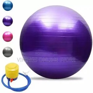 65cm Gym/Yoga Ball With Inflator - Multicolour