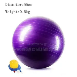 Pregnancy Ball Yoga Exercise Birth Ball Chair